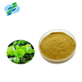 Lotus Leaf Extract Powder 1% 2% 5% 10% 50% 98% Nuciferine